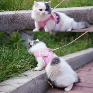 cat-pink-leash