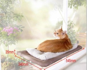 cat-window-seat-dimensions
