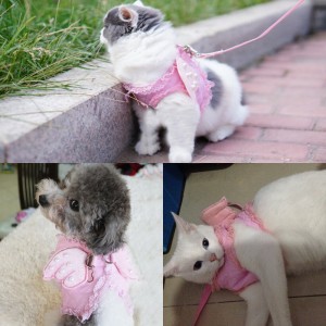 leash-for-cats-and-dogs
