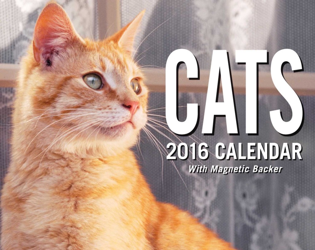 2016-cat-calendar