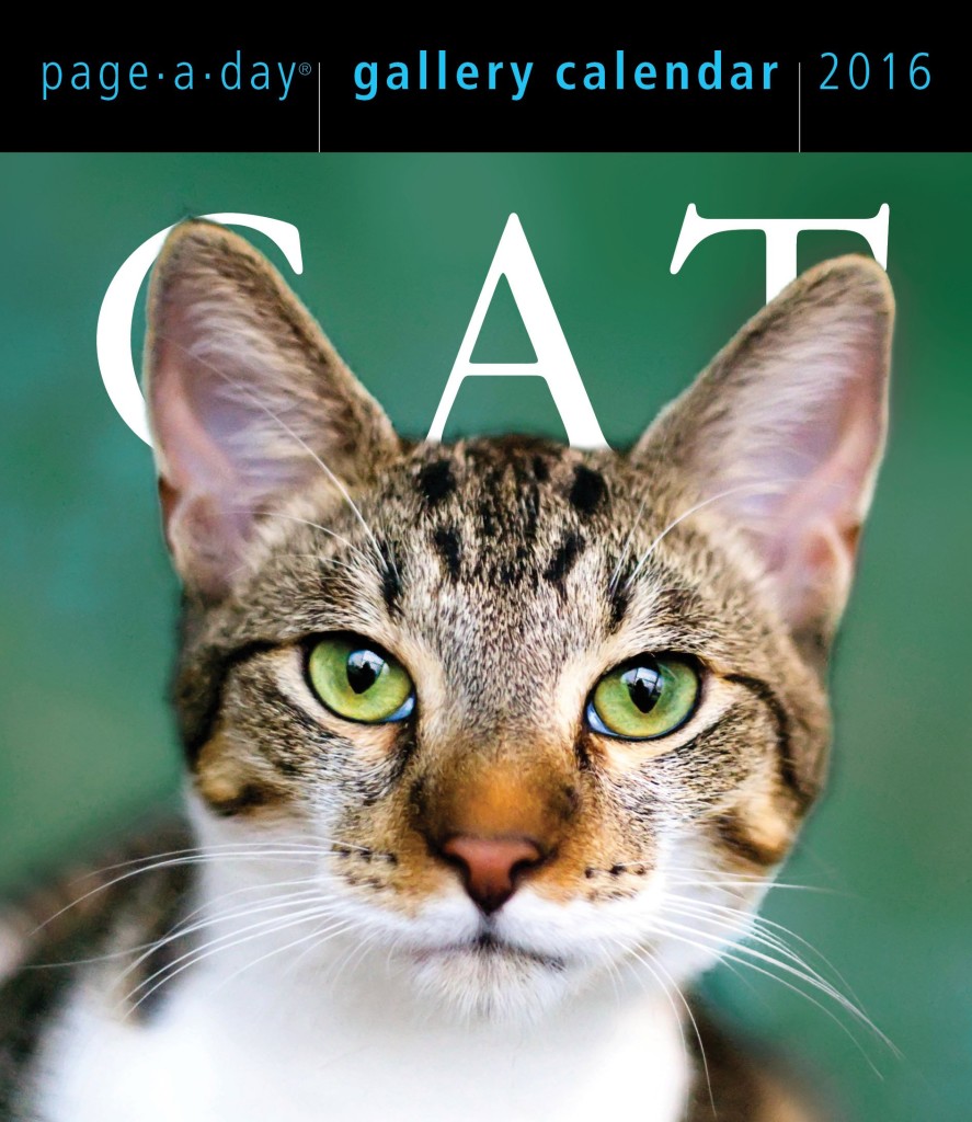 cat-calendar-for-2016