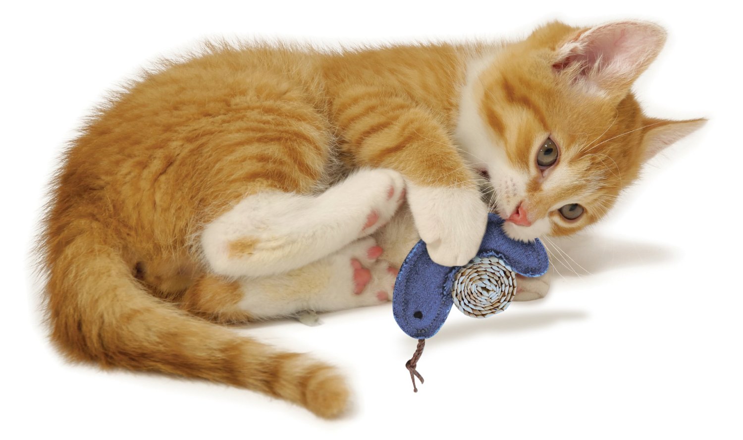 catnip toy