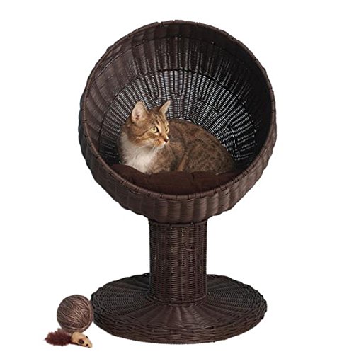 rattan cat bed