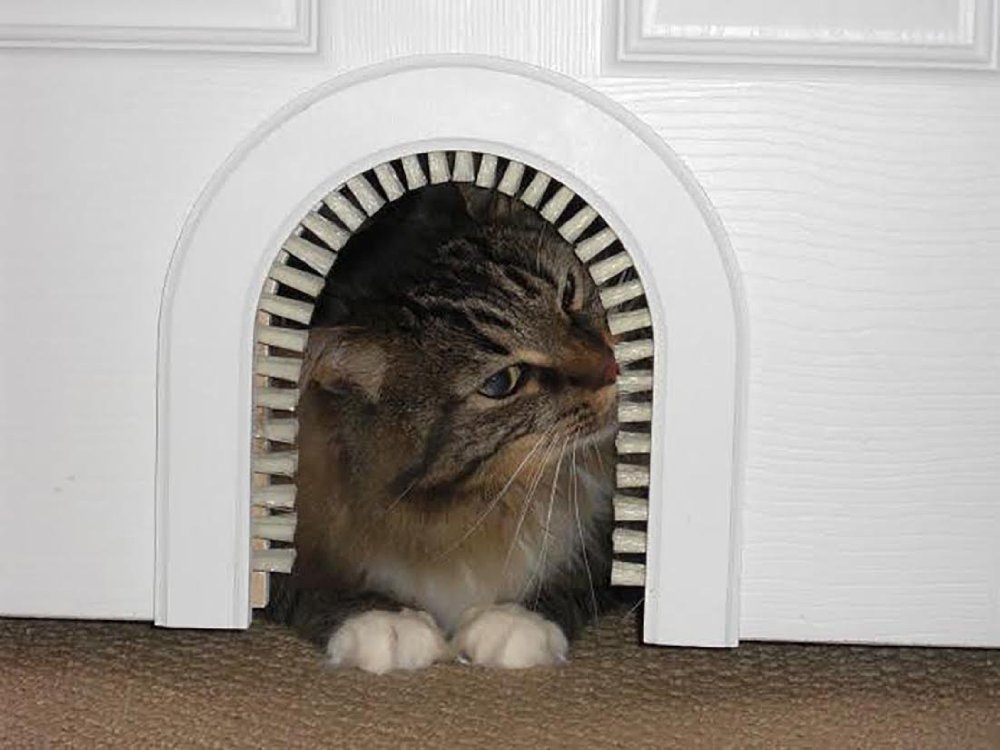 cat door