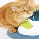 Fun, Intense, and Relaxing Cat Massage Toy
