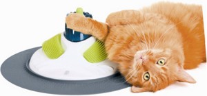 cat-playing-massager