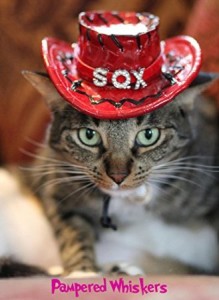 cowboy-hat-for-cats