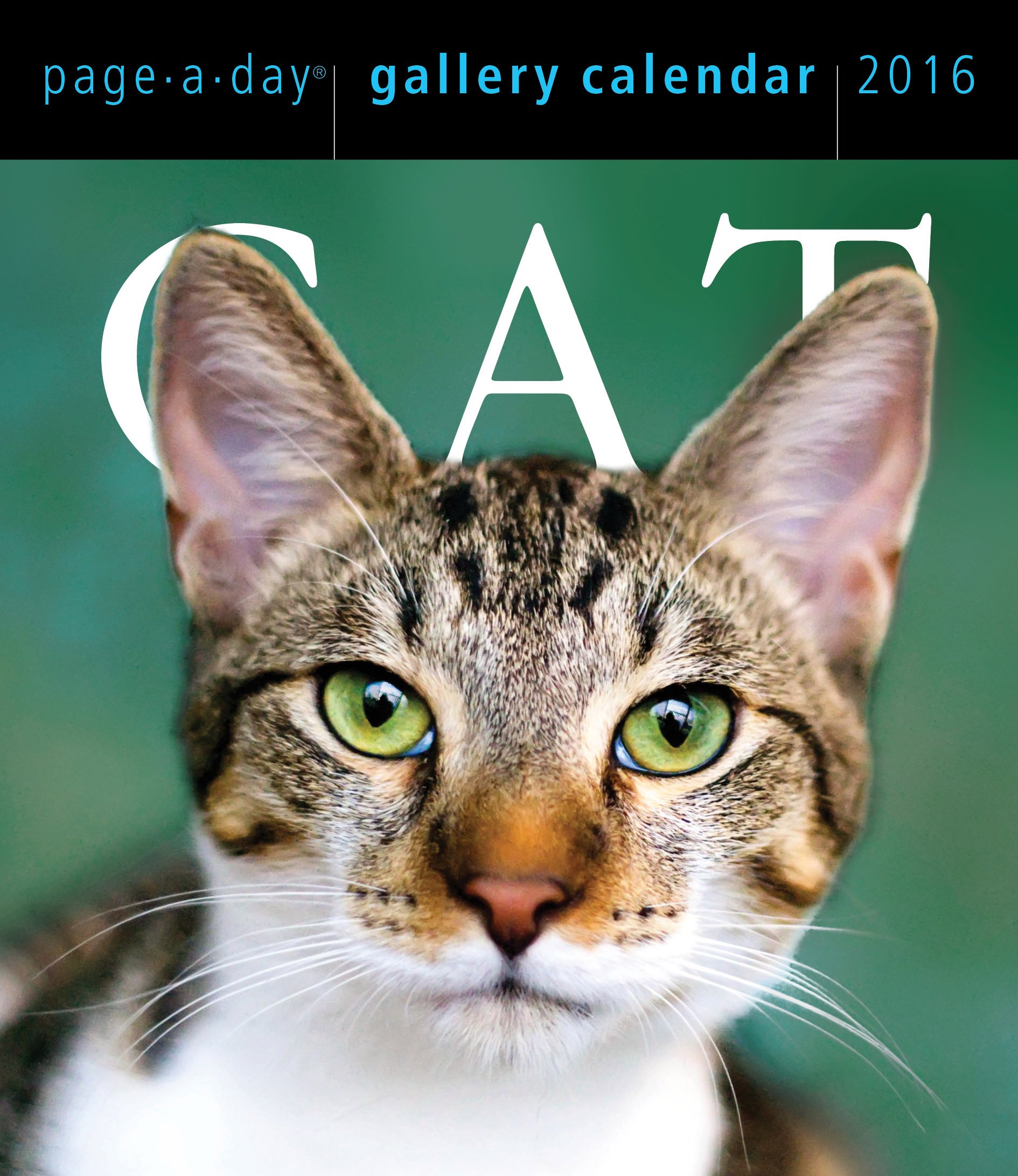 Page a Day Gallery Cat Calendar for 2016 - Cute Cat Accessories