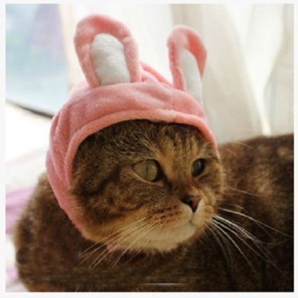 Antlers for Cats (plus other great animal hats)