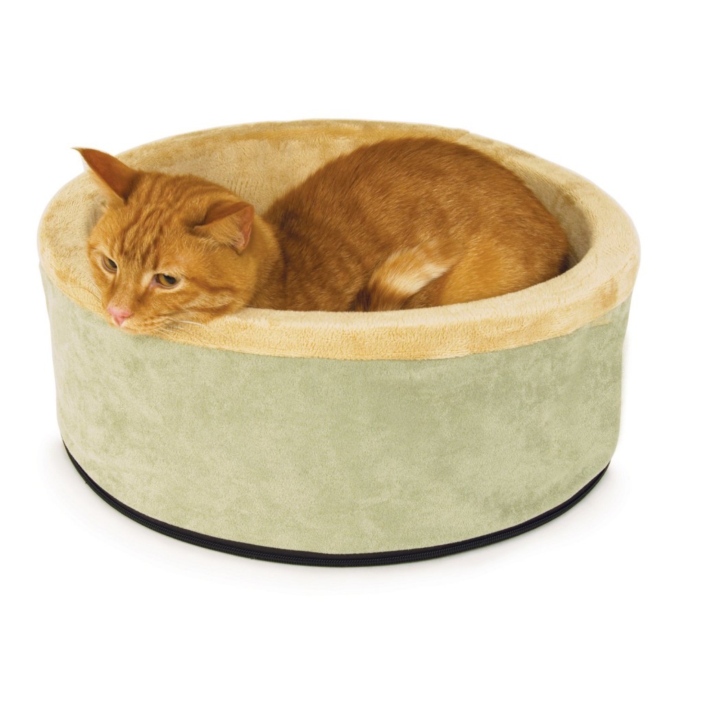 heated cat bed