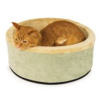 One of the Best Heated Cat Beds Available!