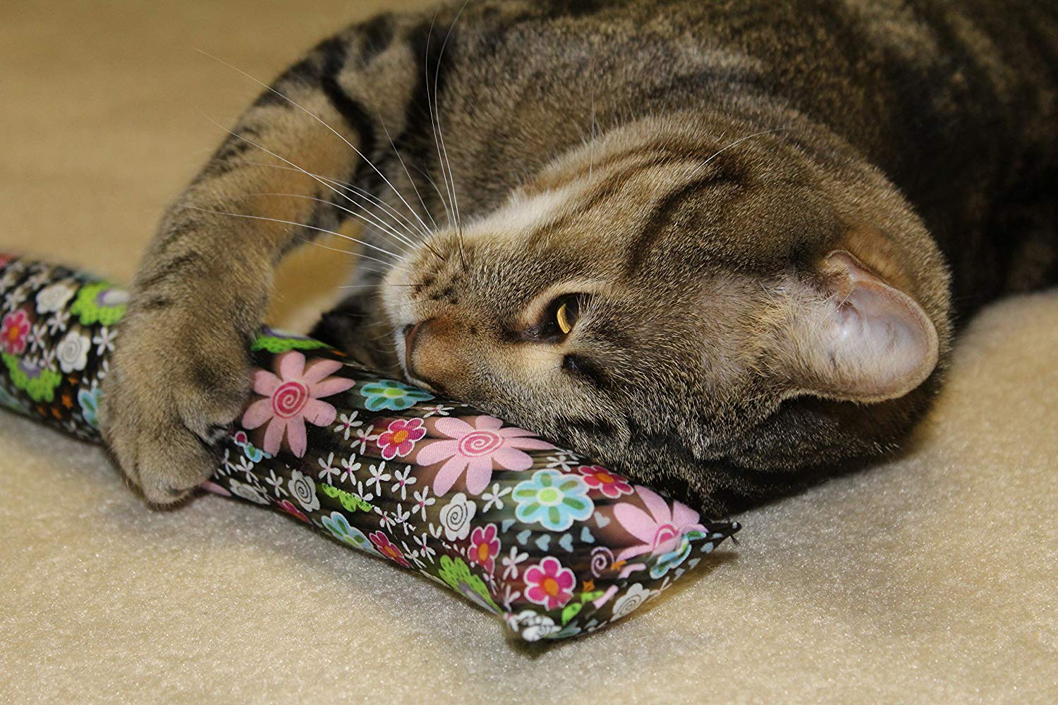 catnip toys for cats