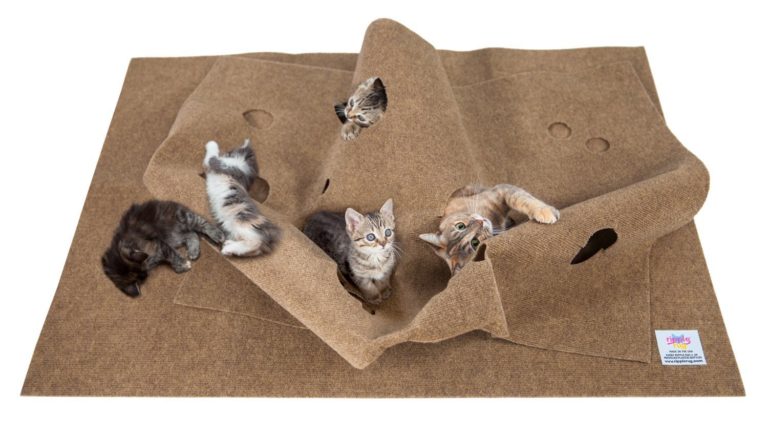 ripple rug cat toy